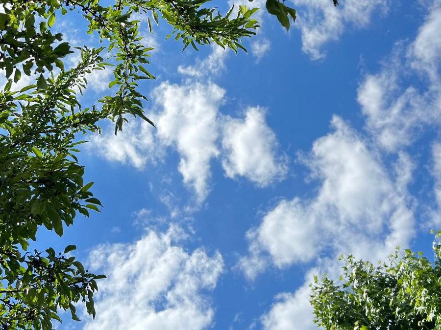 whatsapp image 2025 12 08 at 14.51.35