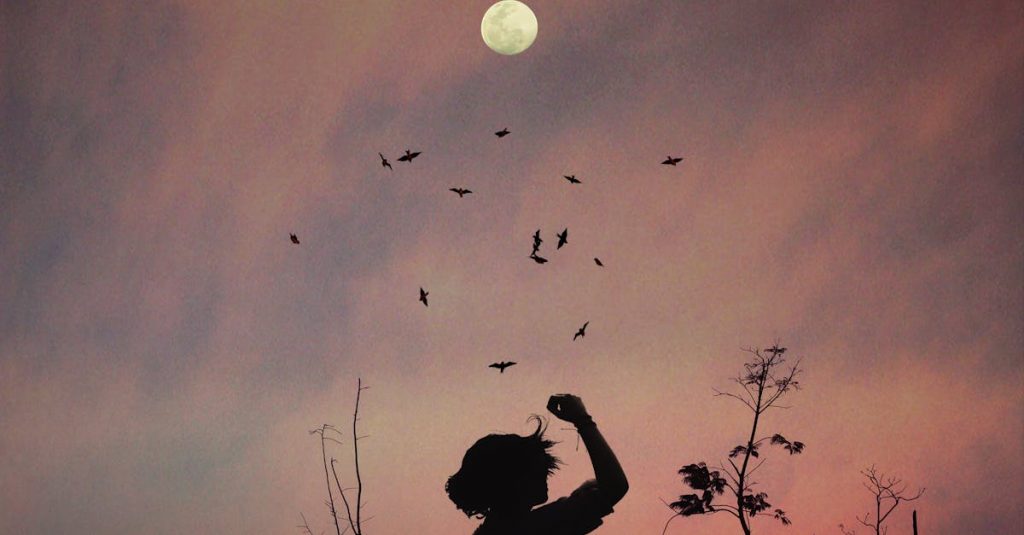 A captivating silhouette of a person at twilight with birds flocking against a colorful sky.