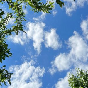 whatsapp image 2025 12 08 at 14.51.35