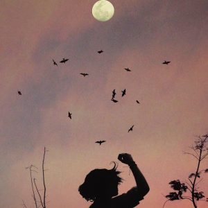 A captivating silhouette of a person at twilight with birds flocking against a colorful sky.